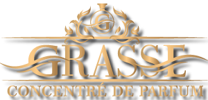 Оптовый Интернет магазин Grasse